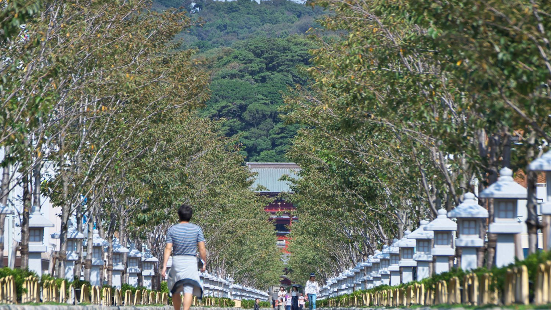Dankazura