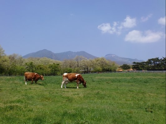 Nasu Kogen Minamigaoka Farm