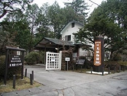 Nikko Botanical Garden