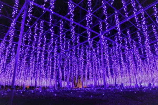 Ashikaga Flower Park Illumination