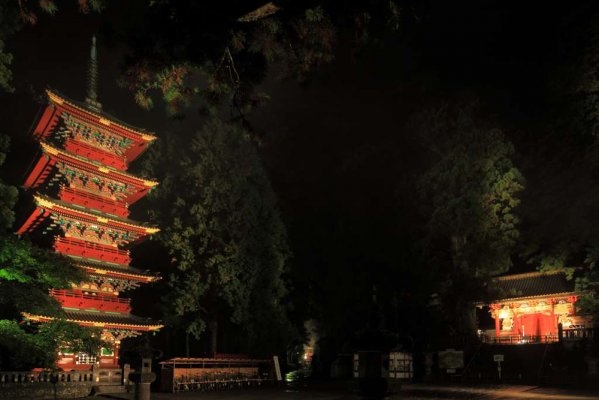 Light-up Nikko