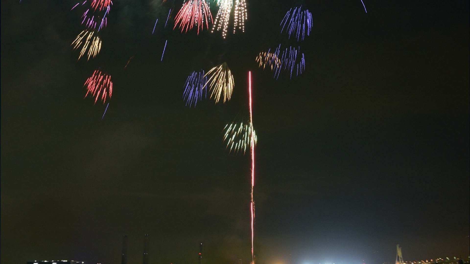 Yokohama Night Flowers