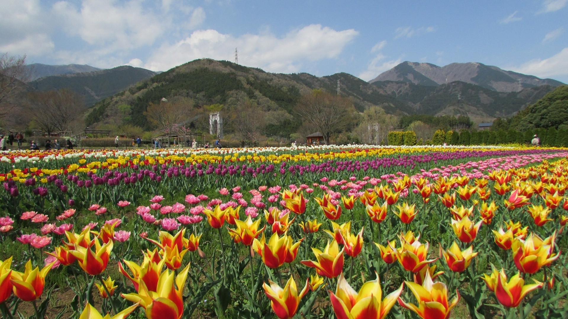 Kanagawa Prefectural Hadano Togawa Park