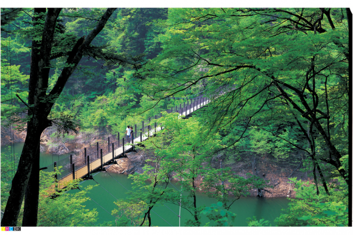The Mikaeri Suspension Bridge and Mikaeri Falls
