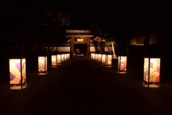Ashikaga Lamp Story