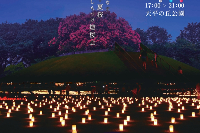 Shimotsuke To-ou-e Illumination