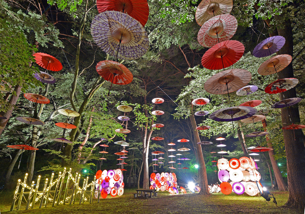 Moonlight Flower Gallery