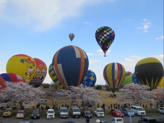 Tochigi-city Watarase Hot-air Balloon Race