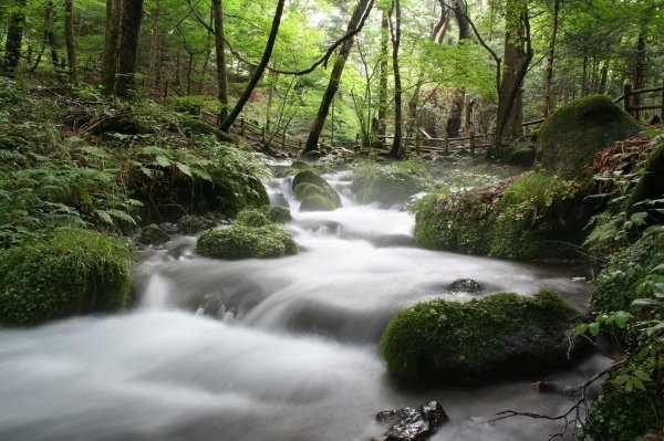 Shojinzawa Spring Water