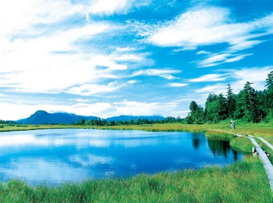 Kinu-numa Marsh