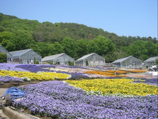 Tochigi Flower Center
