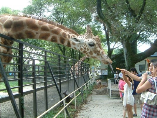 Utsunomiya Zoo