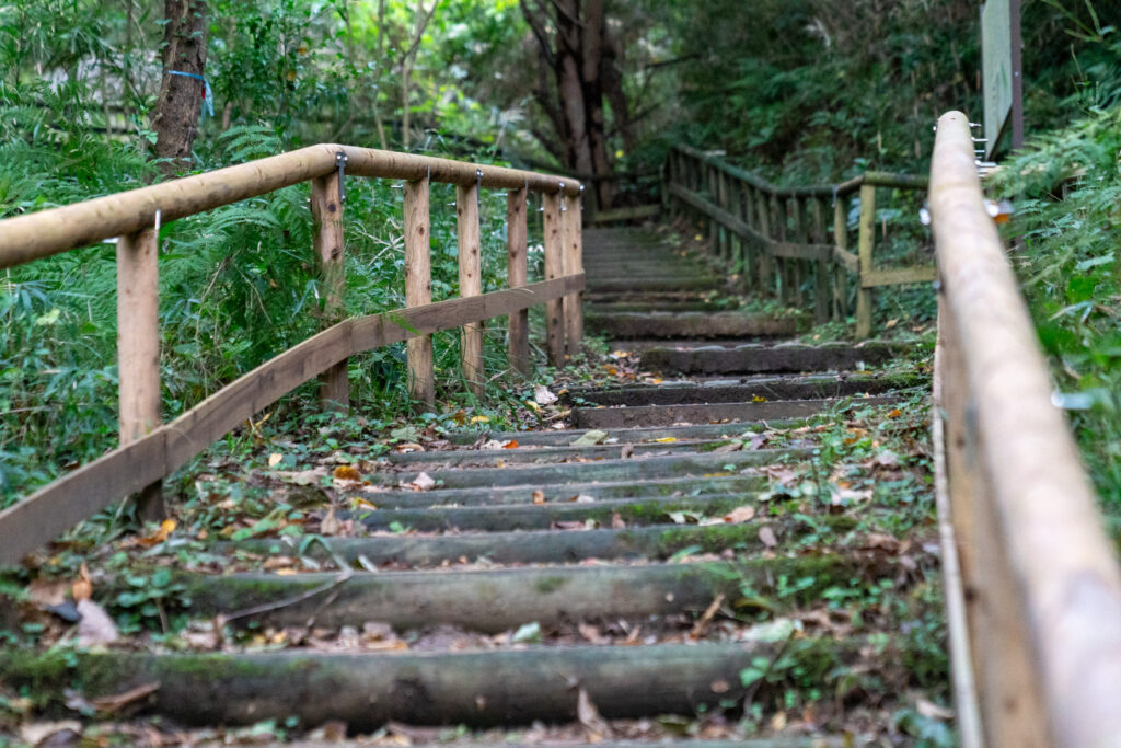 Step into Japan’s Past