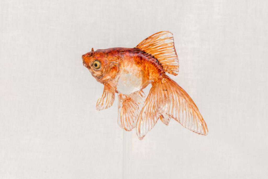 The Timeless Craft of Amezaiku