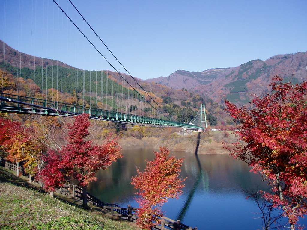 Momiji-dani Otsuribashi (Suspension Bridge)