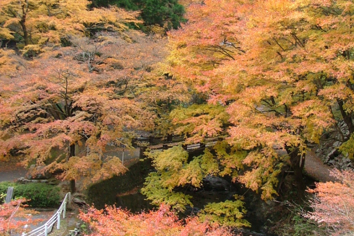 Mt. Horai