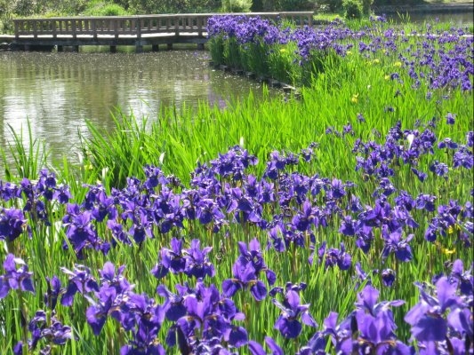 Karasugamori Park
