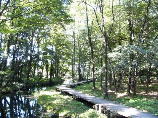Isokawa Ryokuchi Park