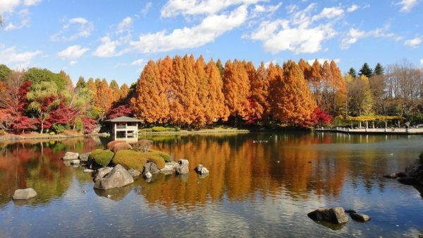 Tochigi Central Park