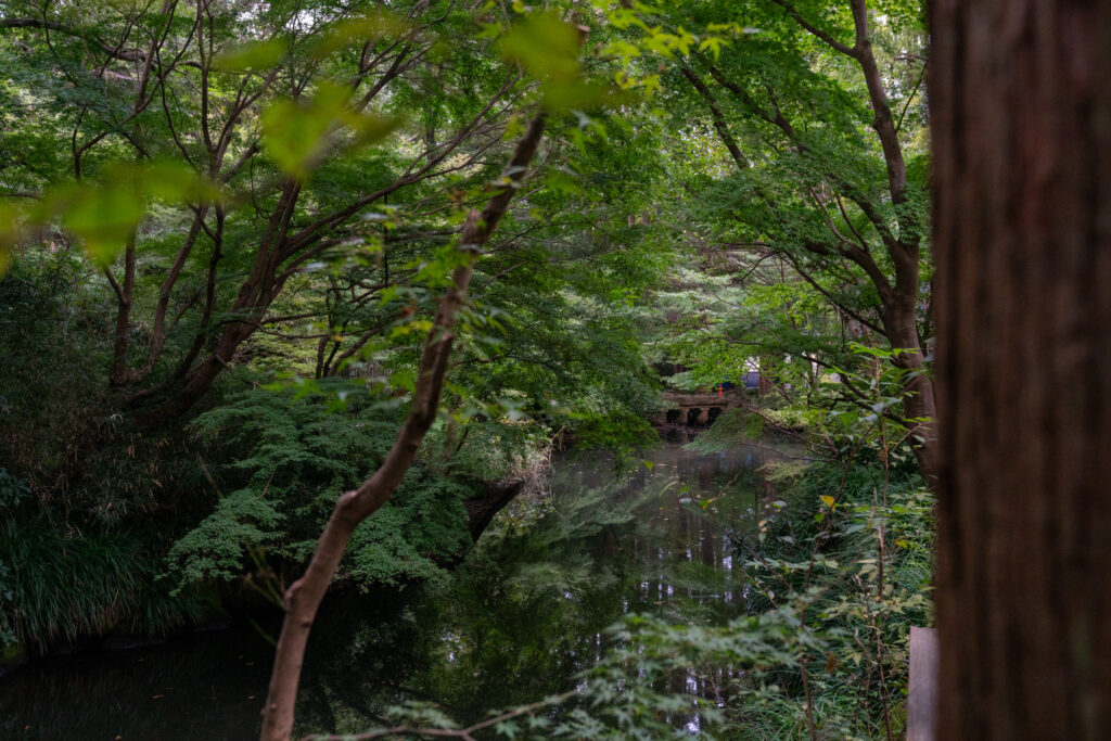 A Natural Oasis in the City