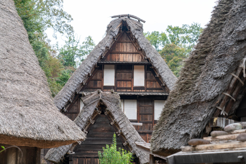 A Taste of Tradition