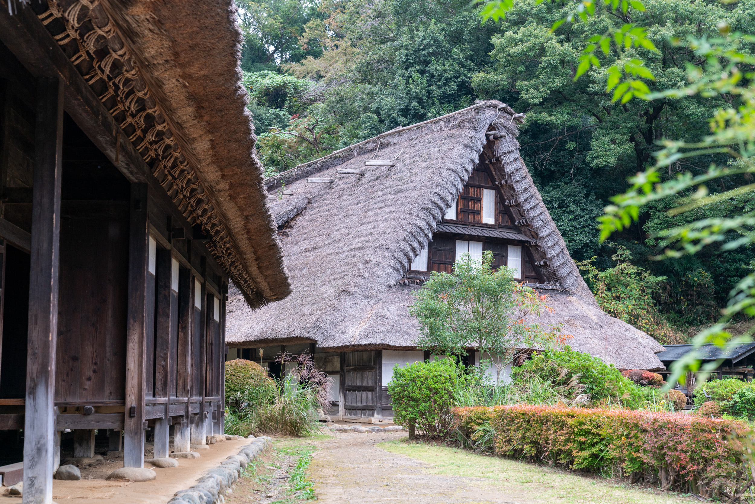 Ikuta Ryokuchi Park & Japan Open-Air Folk House Museum