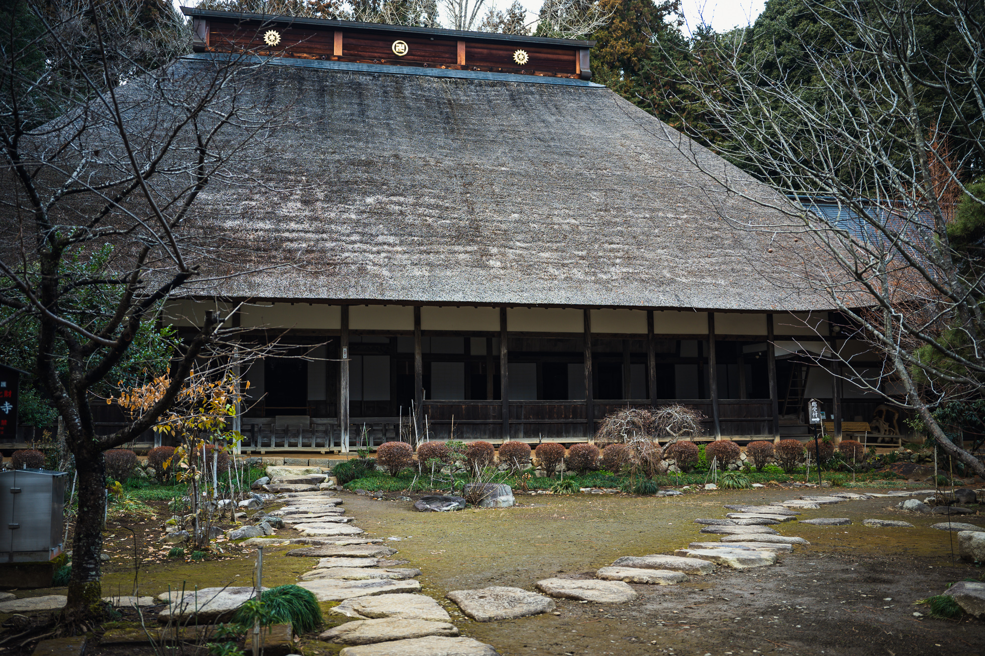 Daioji Temple and Hitsuji Coffee