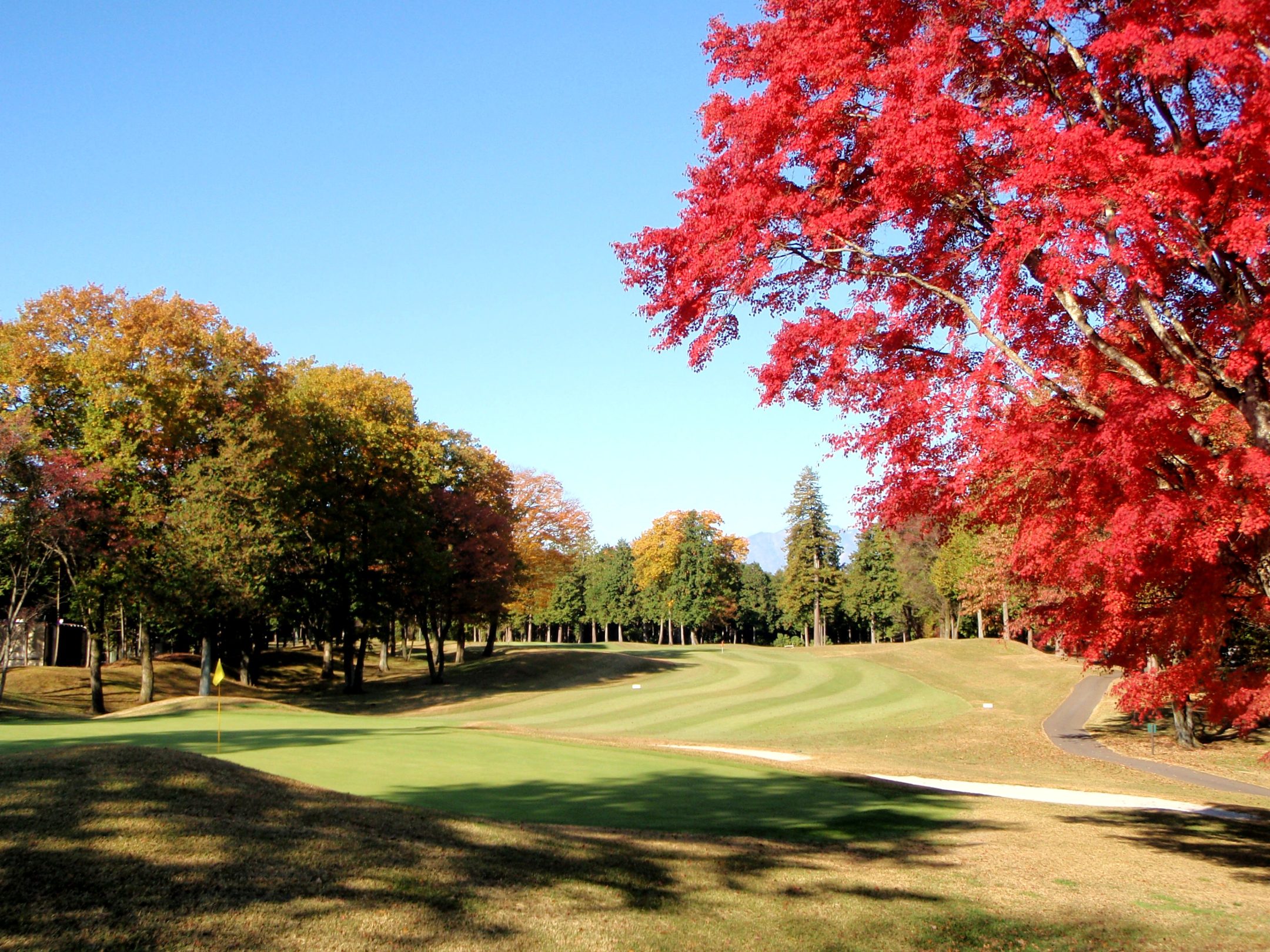 PETE-DYE GOLF CLUB VIP COURSE