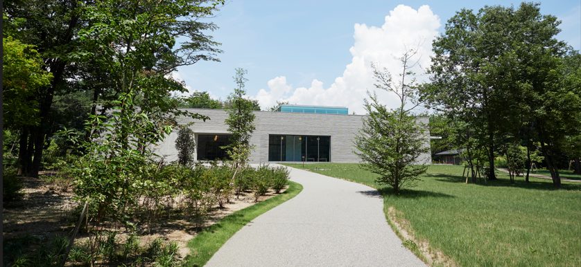 N’s YARD