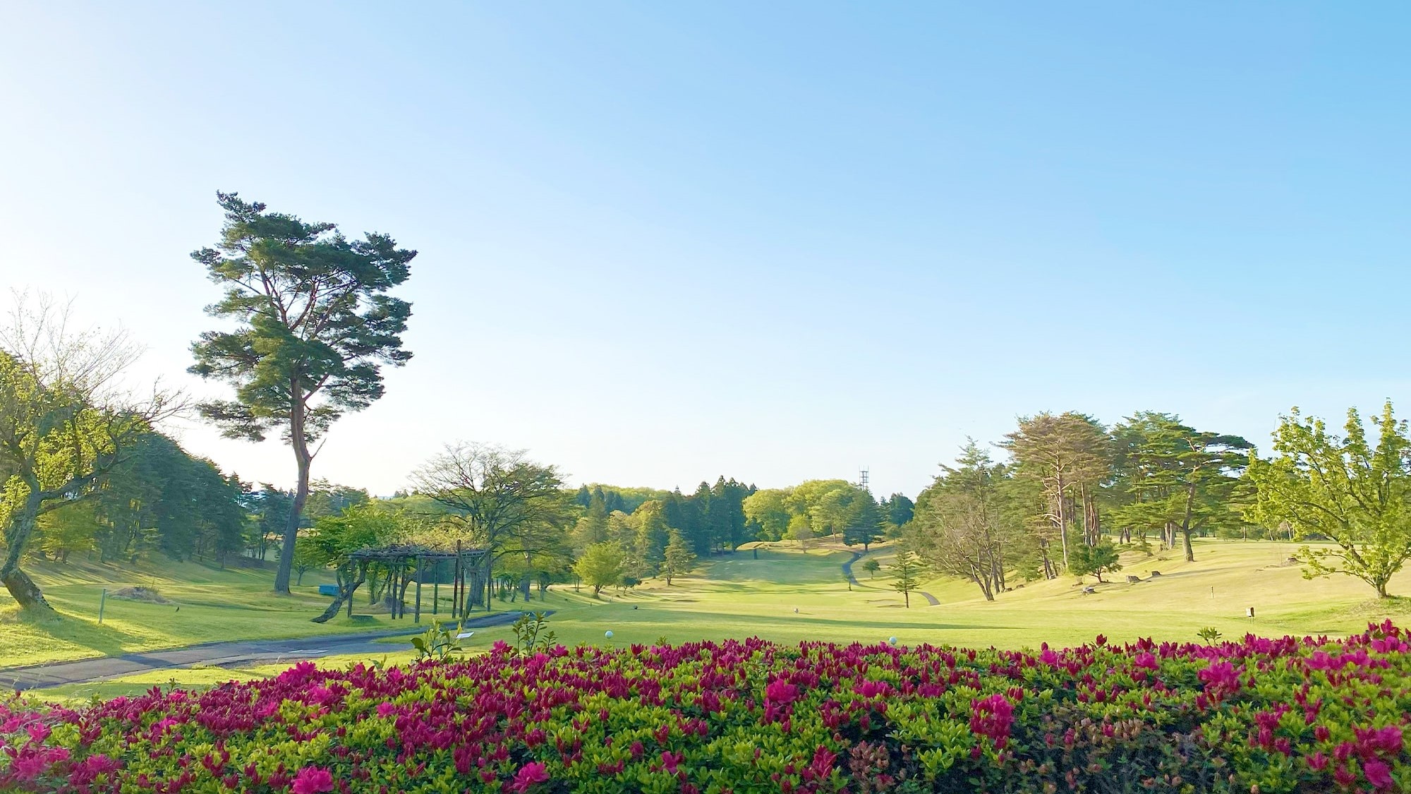 NASU COUNTRY CLUB