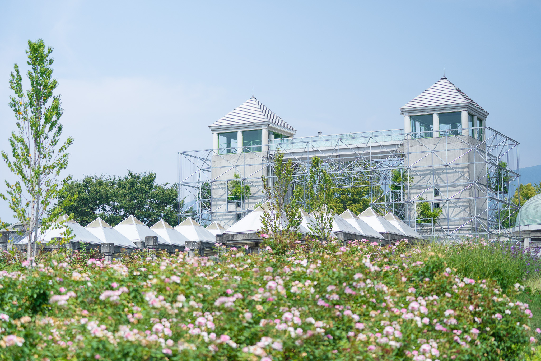 Gunma Flower Park +