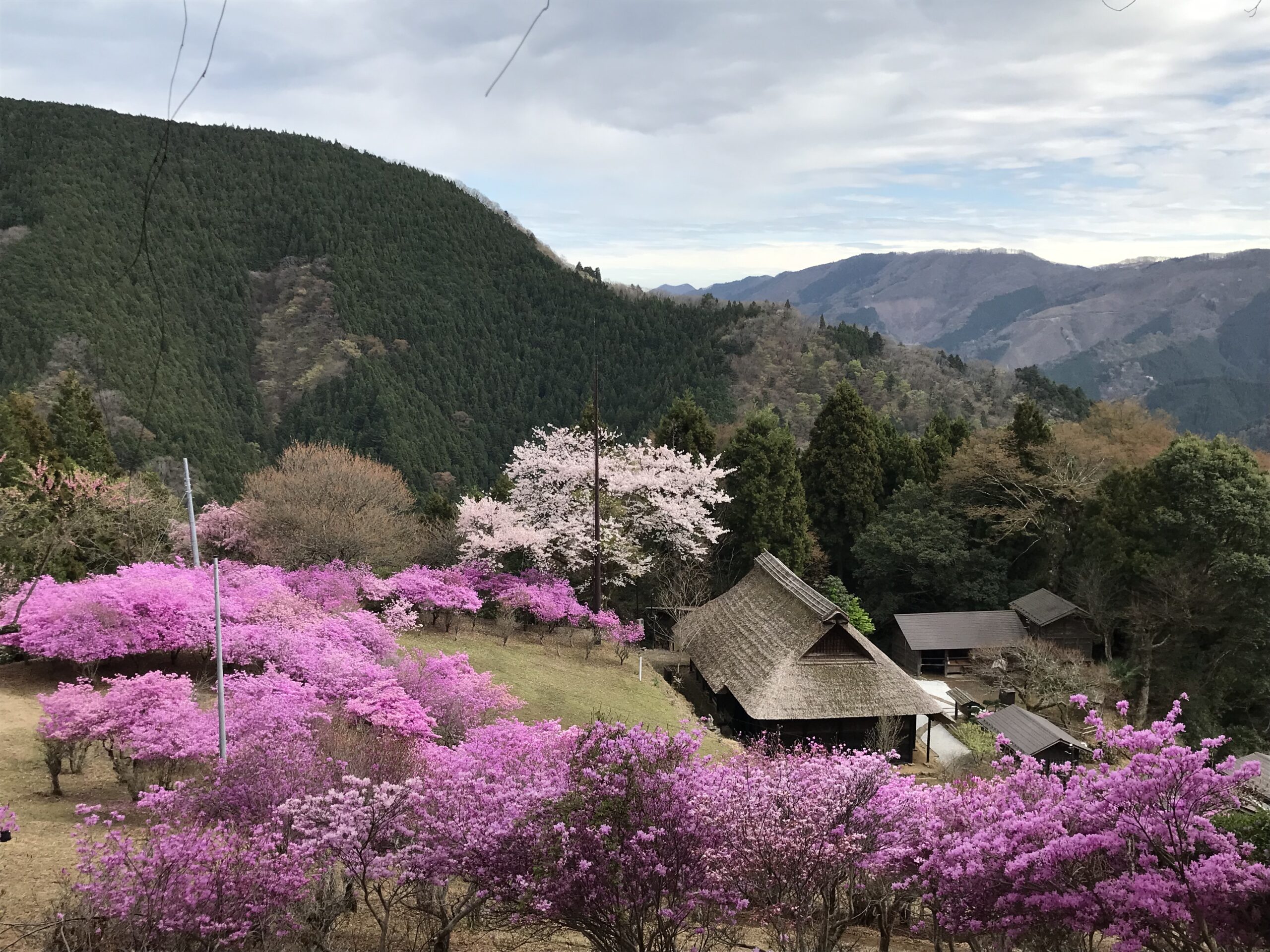 With the JR Pass, encounter living traditions. Take a slow walk through timeless Deep Japan