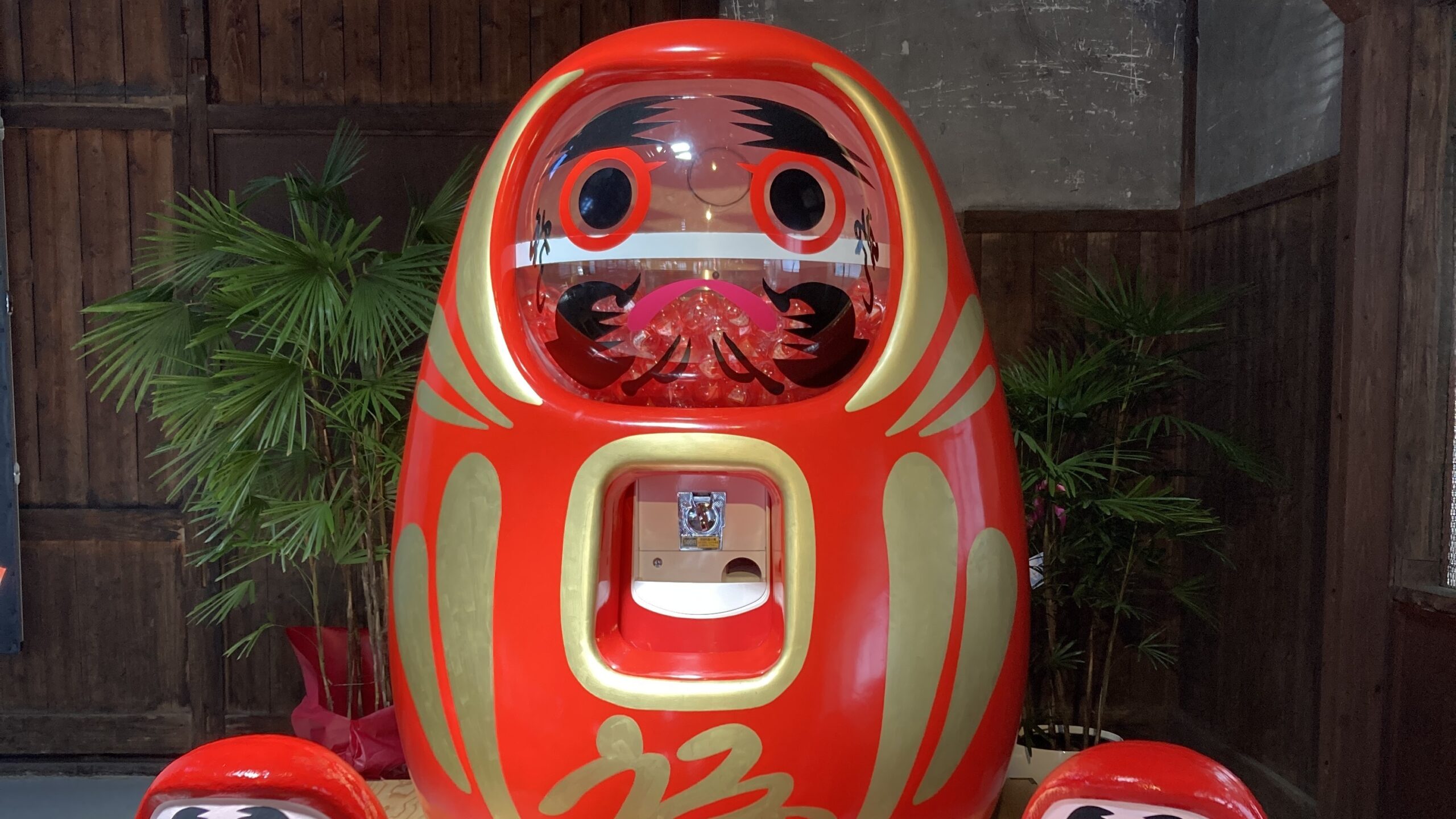 Daruma Land