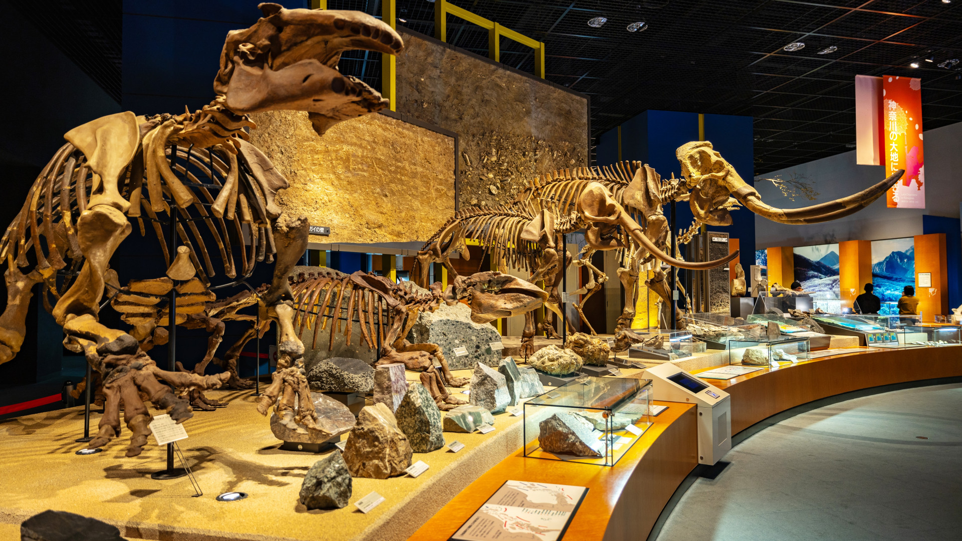 Kanagawa Prefectural Museum of Natural History