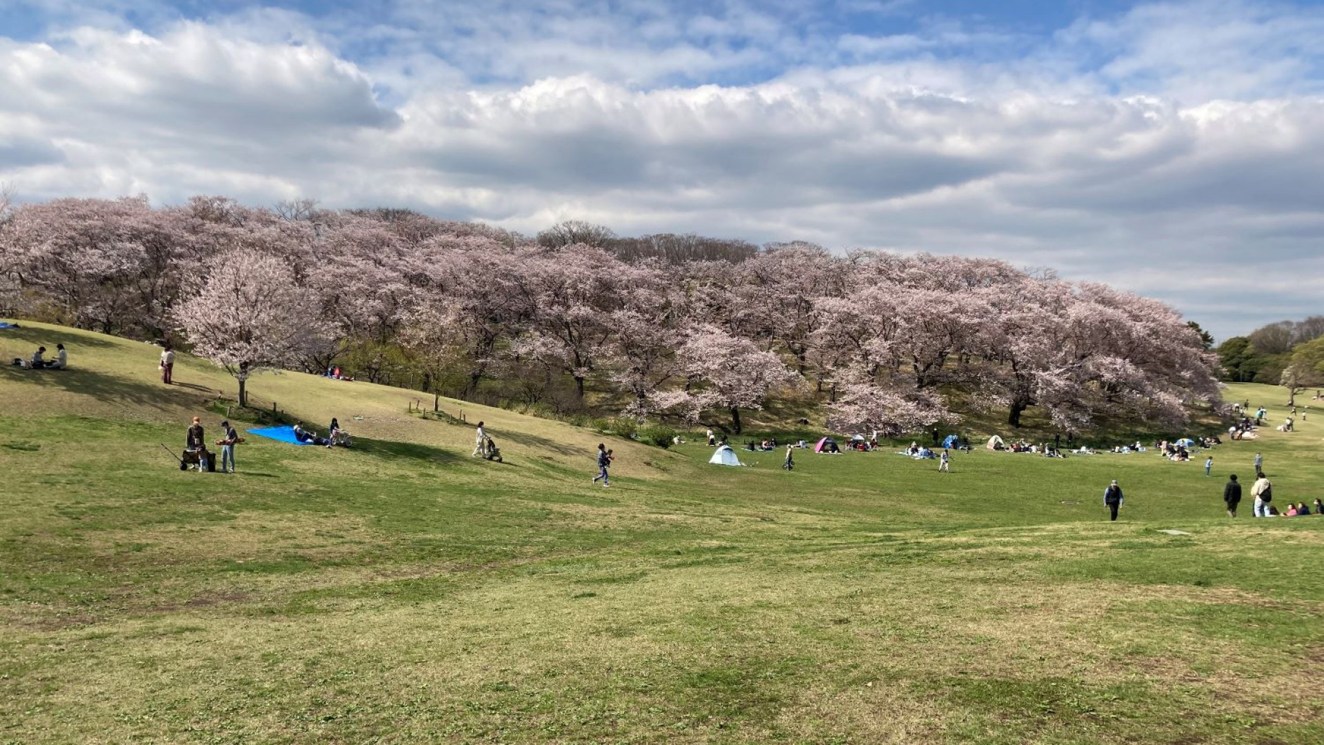 Negishi Forest Park