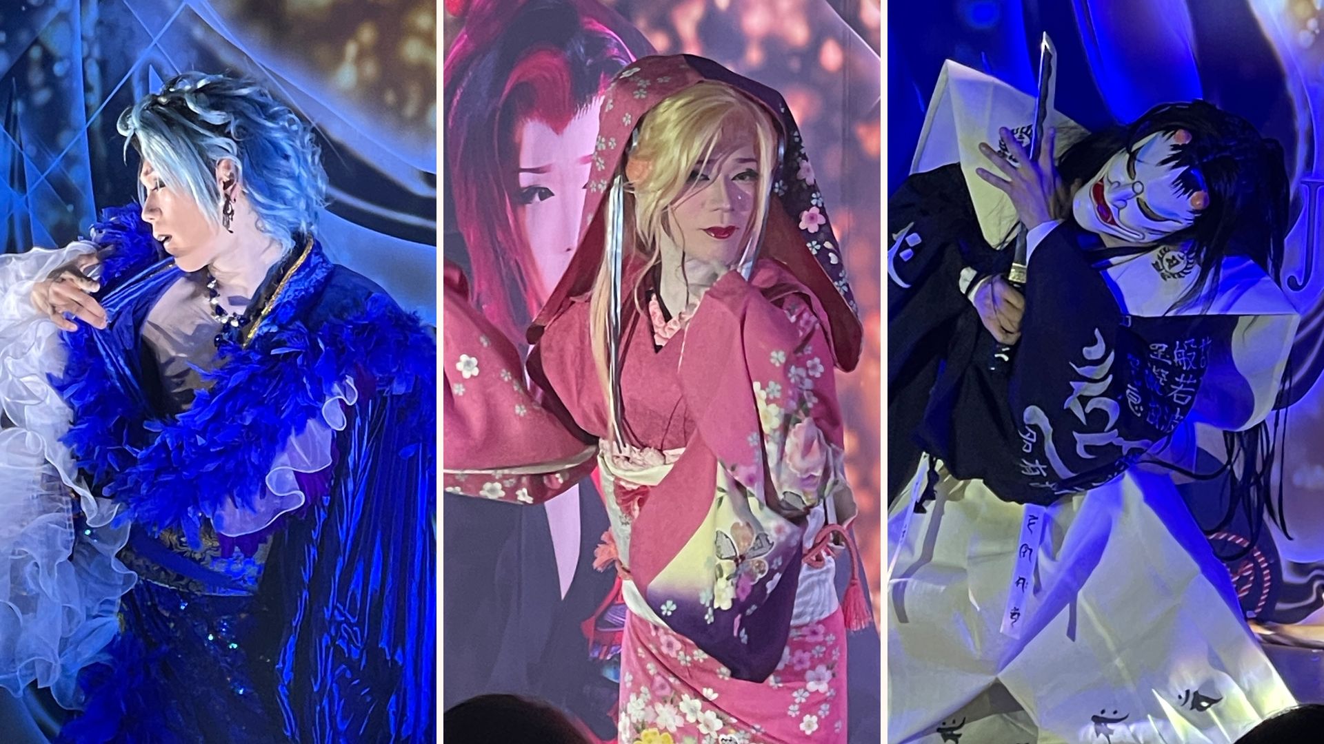 Nikko Momiji-za (“Japanese” performance show)