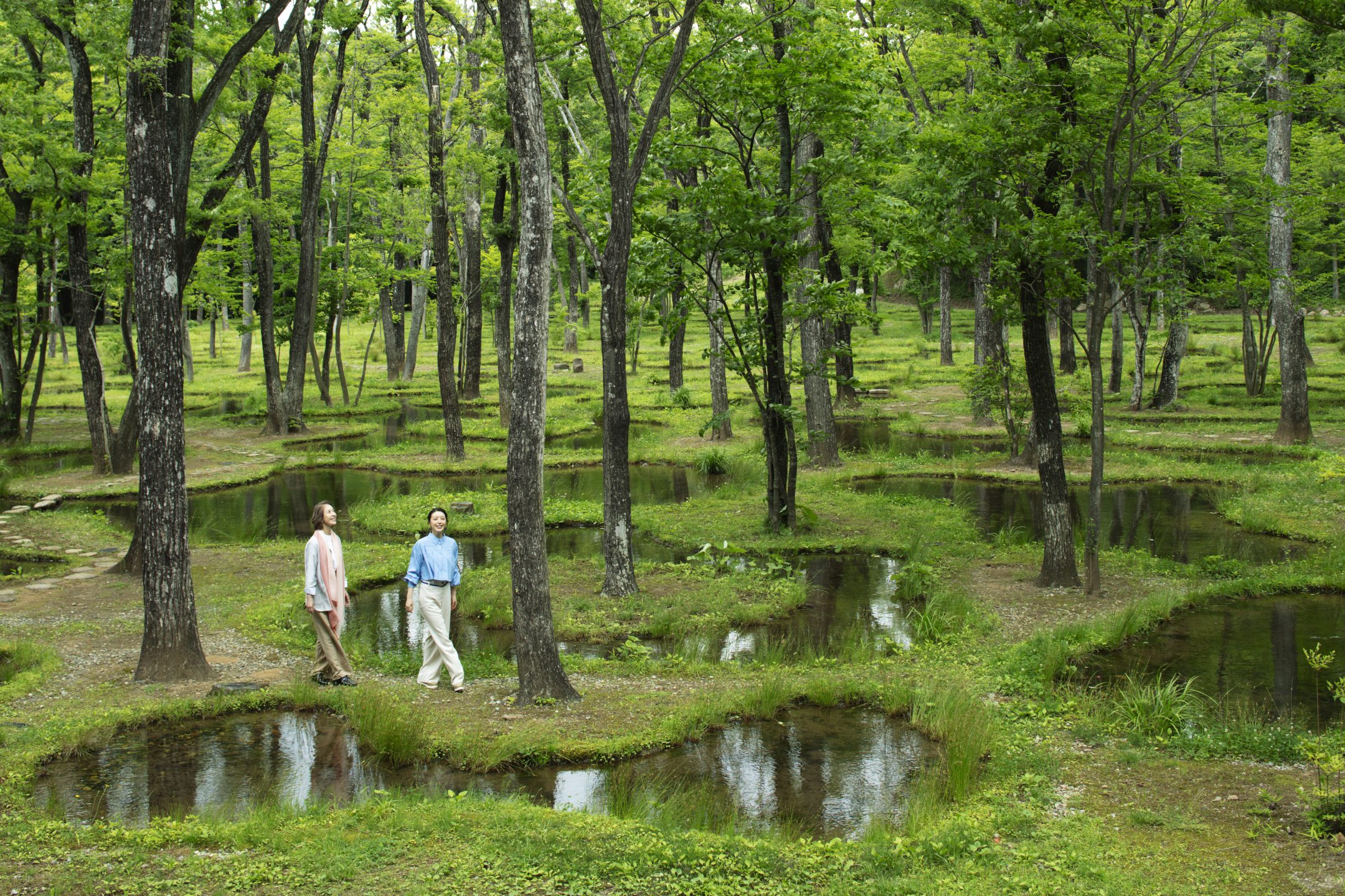 Nasu Mukunone