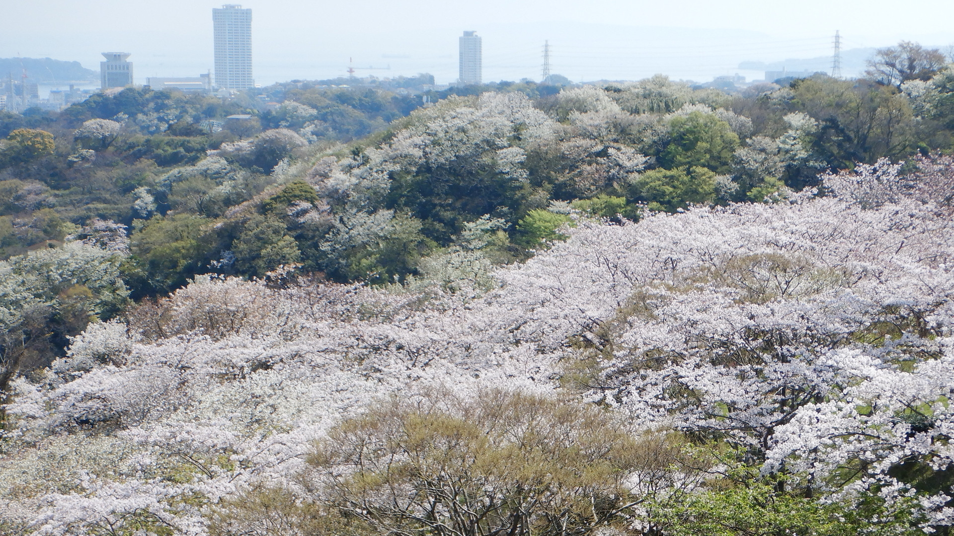 Tsukayama Park