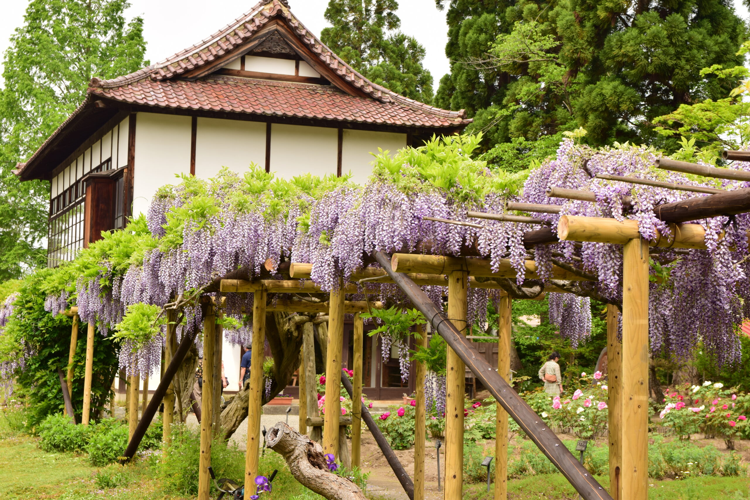 Oyakuen ／ The Lord’s Garden