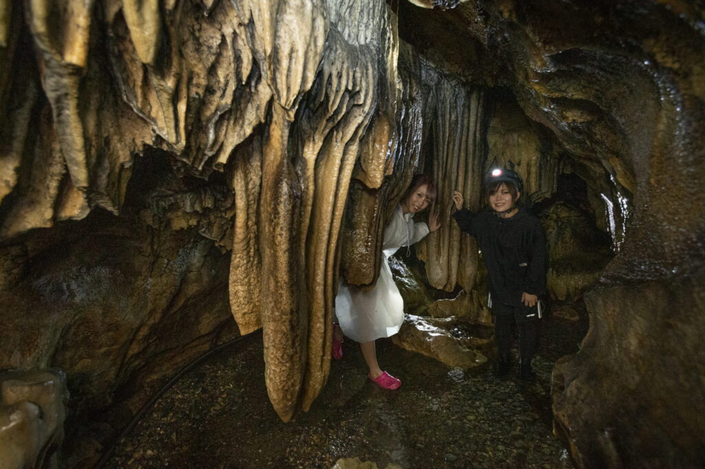 Three Courses For Different Experiences