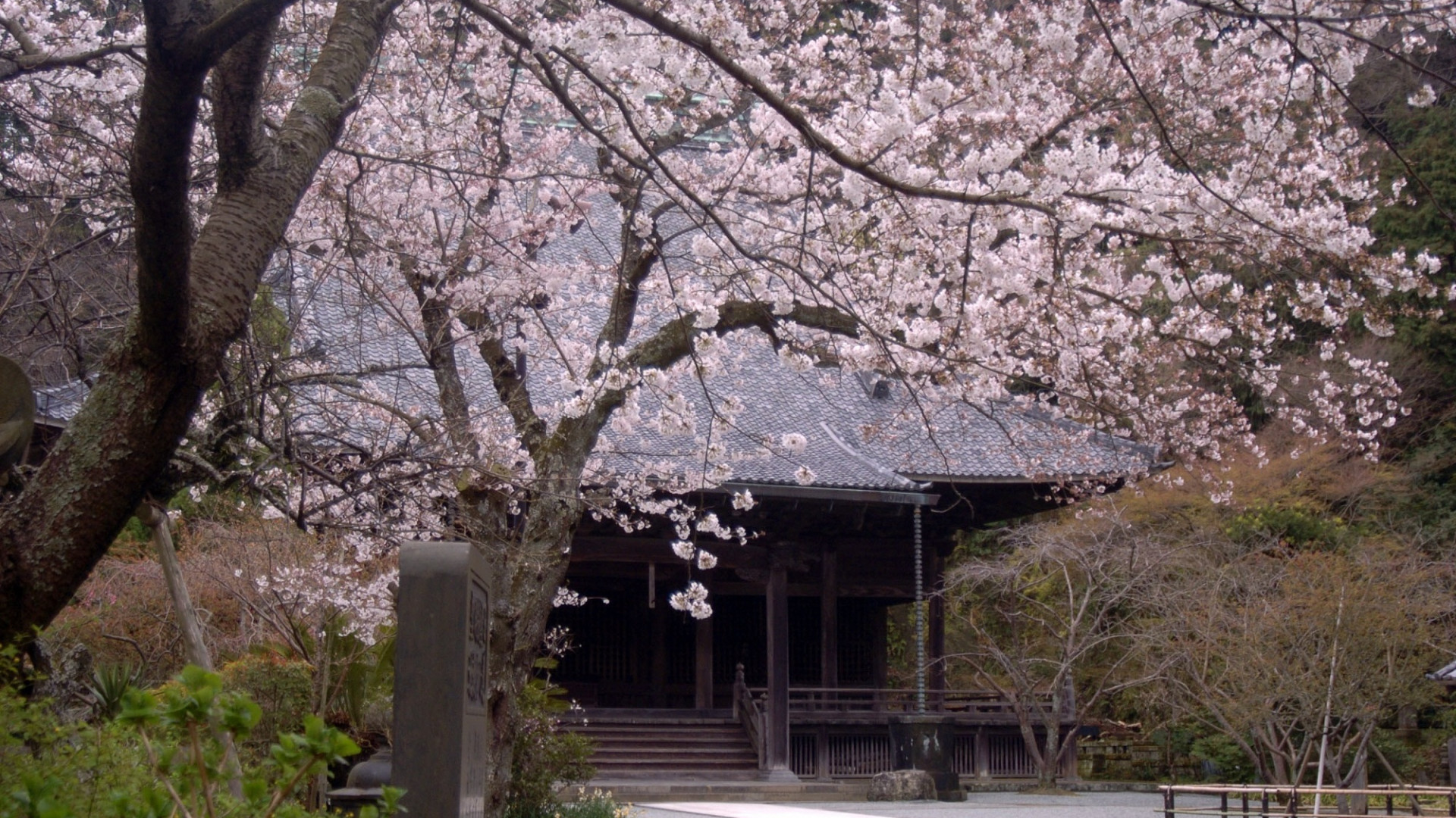 Myohon-ji temple