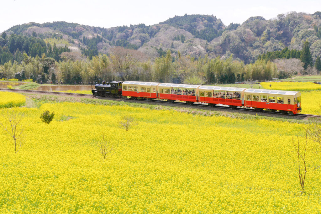 Trade the rush of bullet trains for a leisurely journey through time on the Satoyama Torocco.