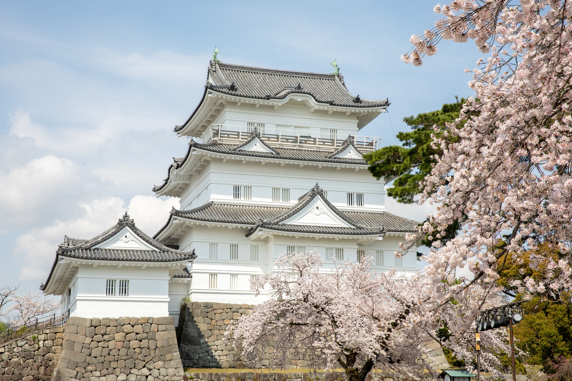 Reconnecting to the “Roots” of the Tokaido
