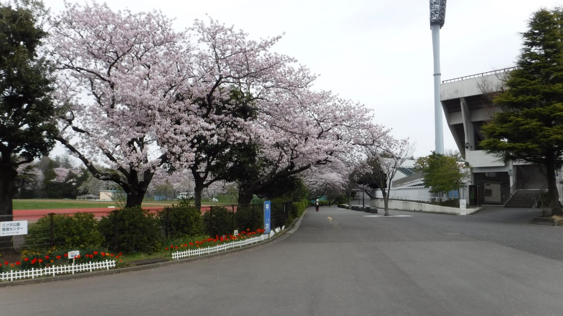 Mitsuzawa Park