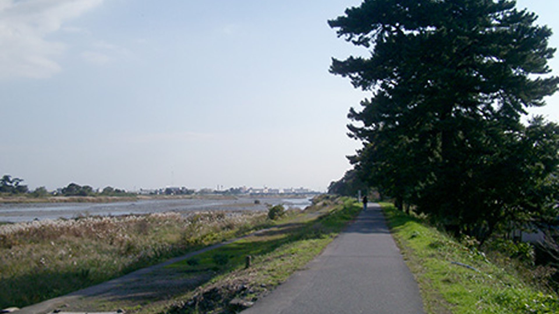 Ninomiya Sontoku no Yukari Pine Avenue