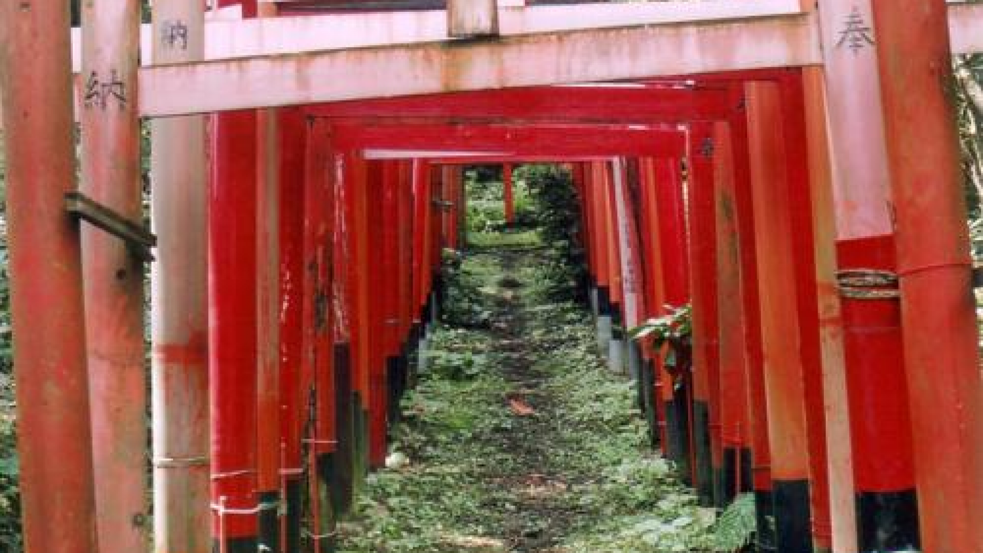 Hakusekiinari Shrine