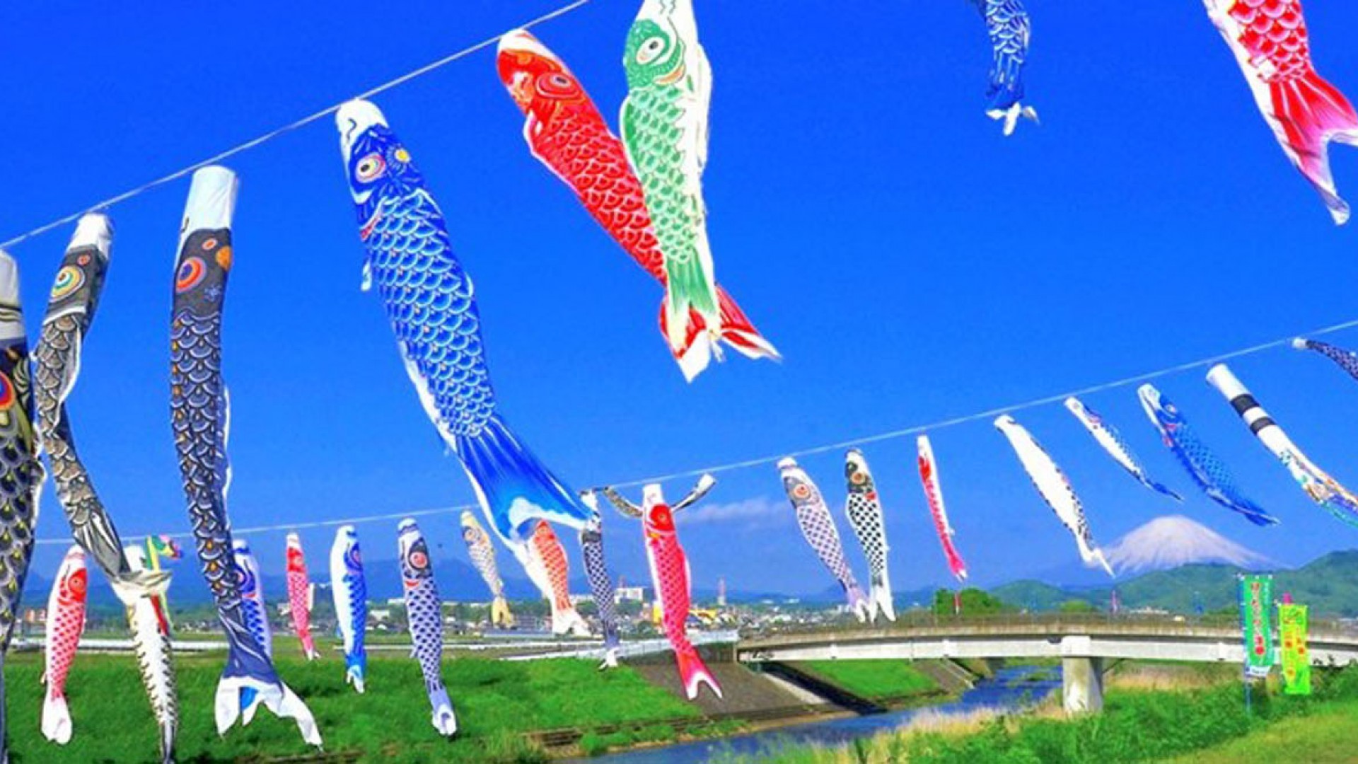 Suzukawa Koinobori Matsuri