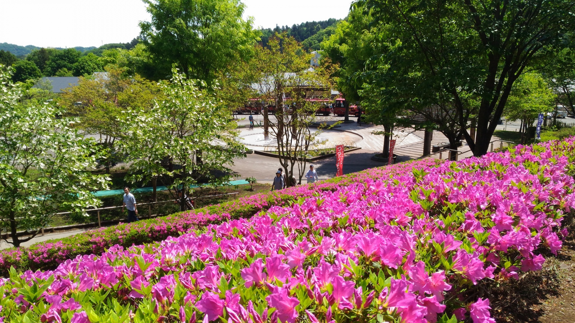 Aikawa Park