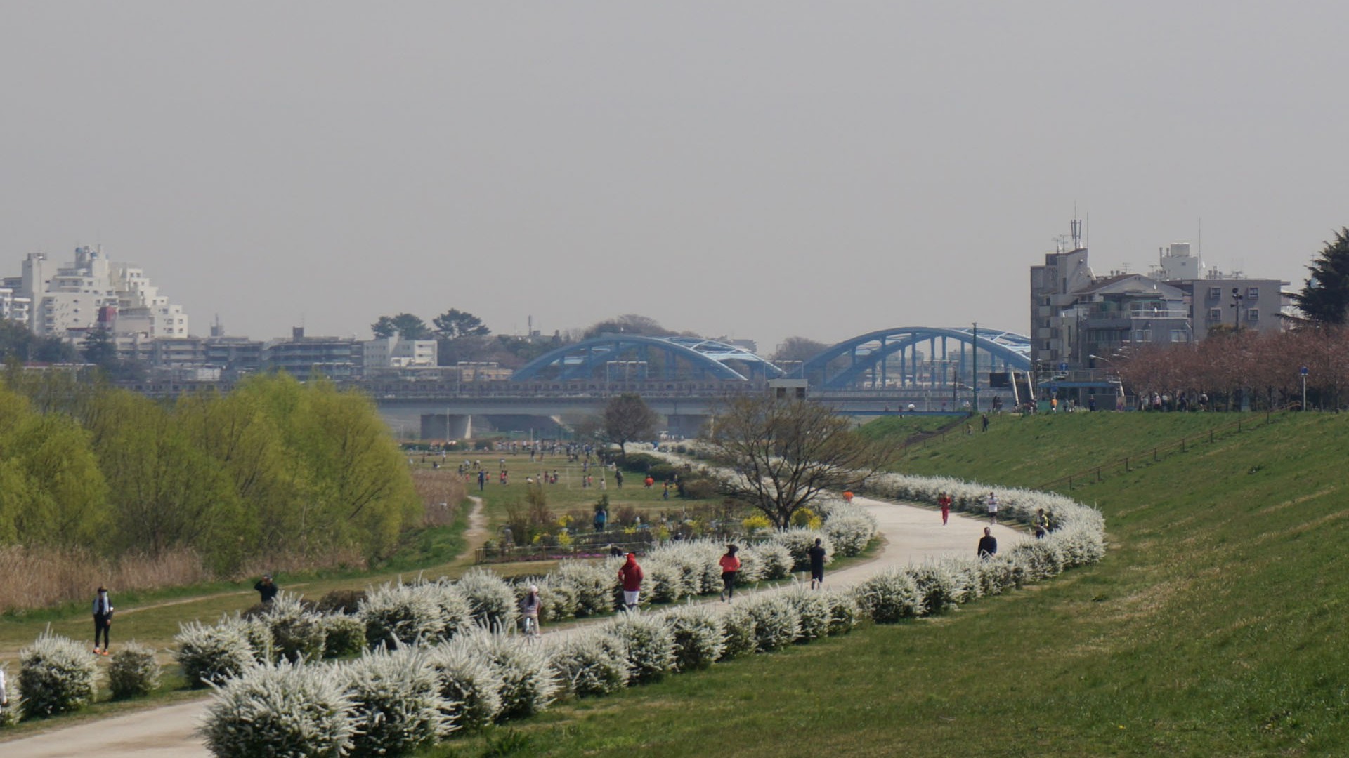 Tama River green space