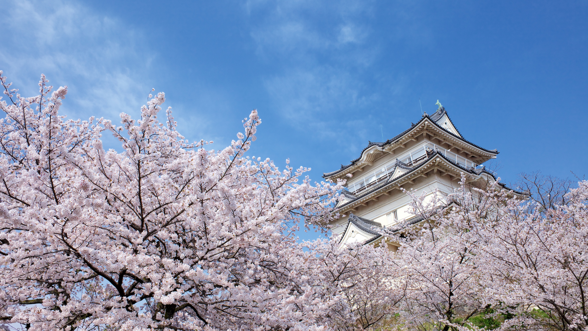 Odawara Castle Ruins Park